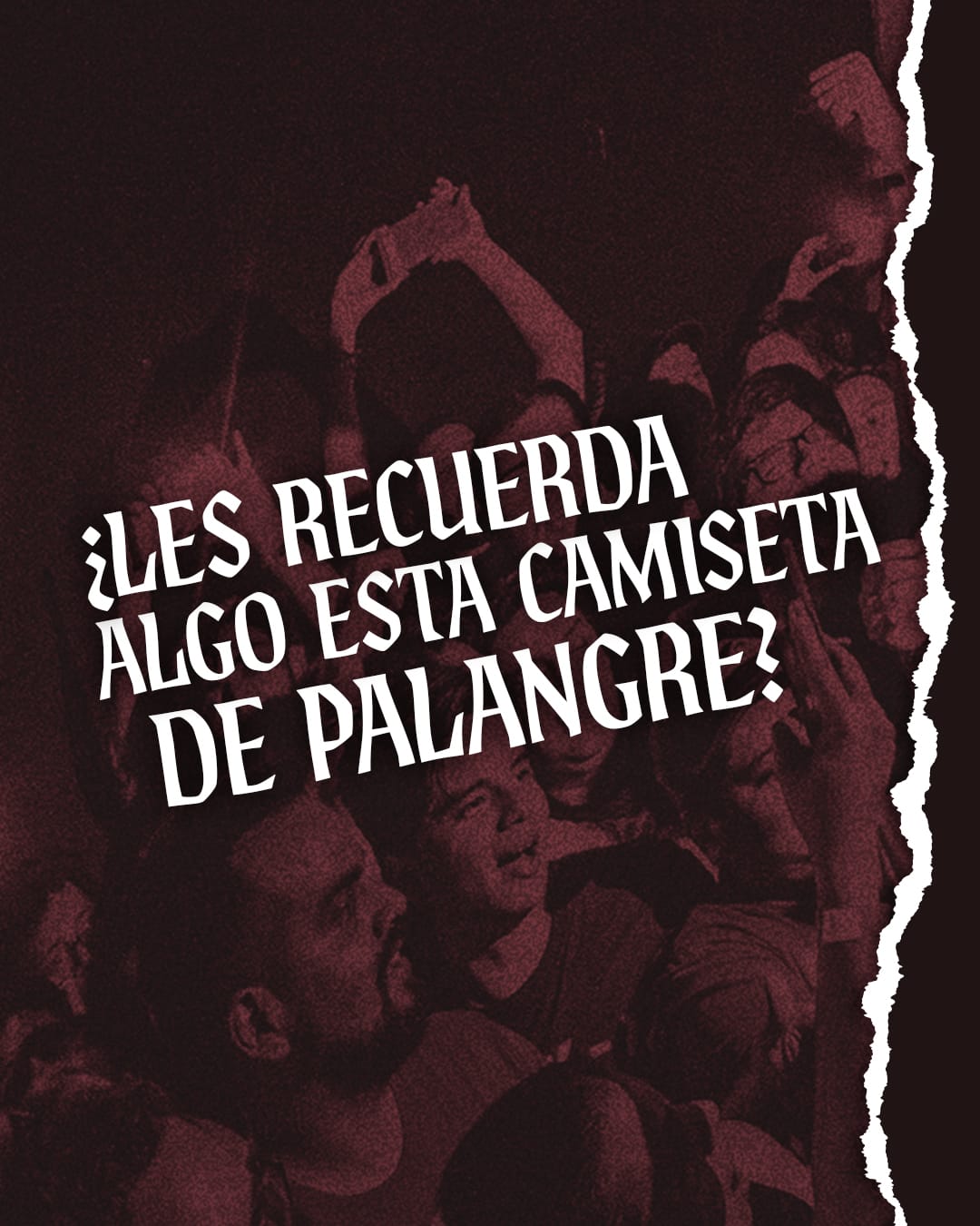 Agente-86_Carrusel_Diseno-Palangre_01